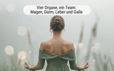 Dein Verdauungsquartett: Magen, Darm, Leber und Galle