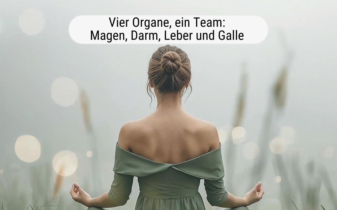Dein Verdauungsquartett: Magen, Darm, Leber und Galle